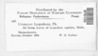 Image Associated With the Occurence
